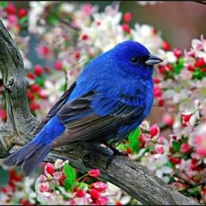 Meet your Posher, Aide